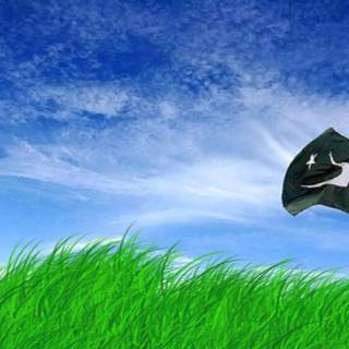 Wallpaper Pakistan flag 2016