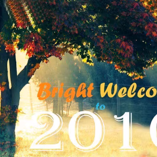 Cute baby animal. 2016wallpaper