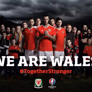 Cute baby animal. 2016wallpaper