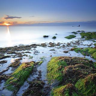 3d pakistan flag wallpaper 2017 top 10