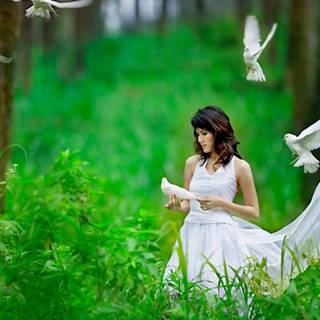 Love heart wallpaper 2017