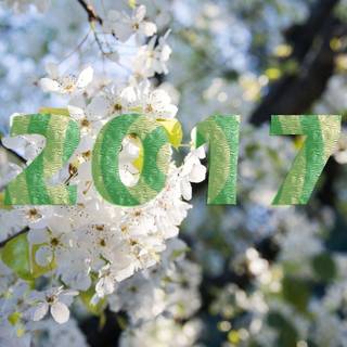 Wallpapers latest 2017