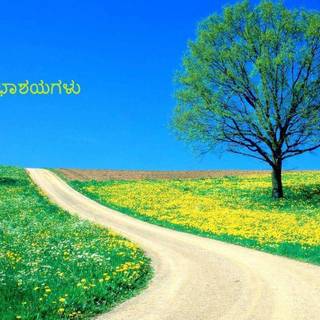 Greeting wallpaper 2017