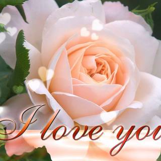 Most beautiful wallpaper of 2017