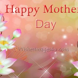 Summer 2017 wallpaper