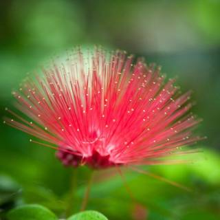 HD beautiful natural wallpaper HD2017