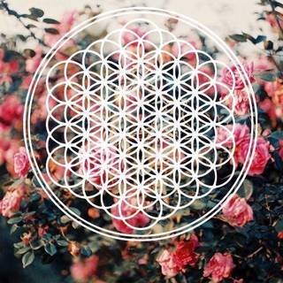 Bring Me the Horizon 2017 wallpaper