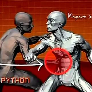 Muay thai wallpaper 2017