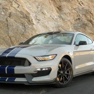 2017 Ford Mustang Shelby wallpaper