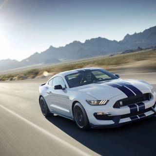 2017 Ford Mustang Shelby wallpaper