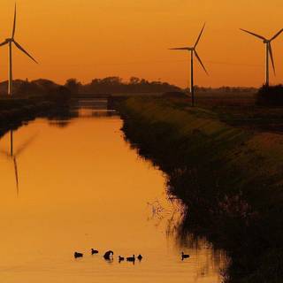 Animus wallpaper 2017