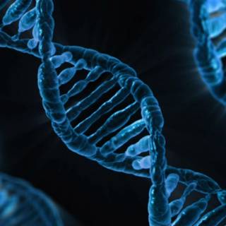 Scientific dna wallpaper 2017