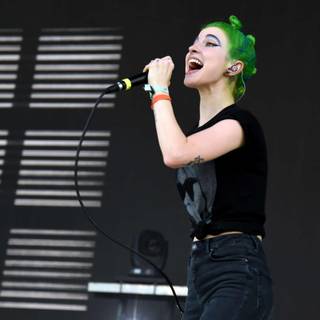 Hayley williams wallpaper 2017