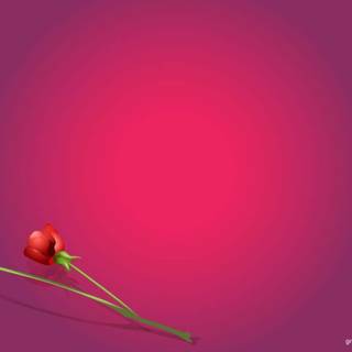 Background style powerpoint 2017 color pink