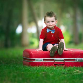 Cute baby animal 2017 wallpaper