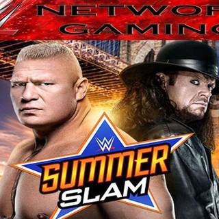 WWE Brock Lesnar 2017 HD wallpaper