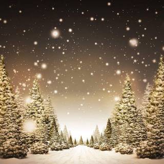 Wallpaper 2017 desktop