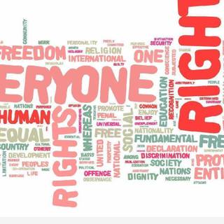 Human Rights Day wallpaper