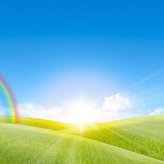 Sunny day background