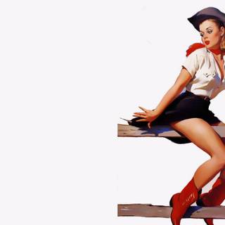 Pin-up wallpaper HD