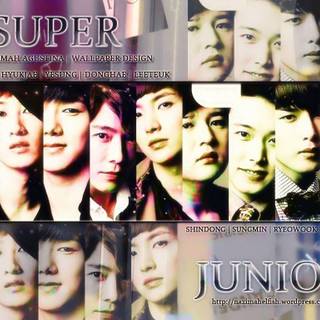 Super junior wallpaper 2015