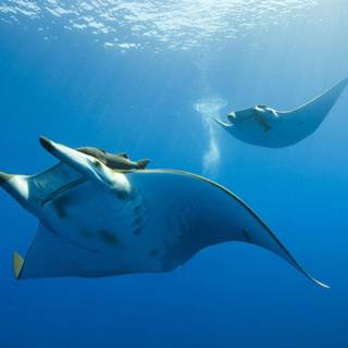 Water desktop wallpaper