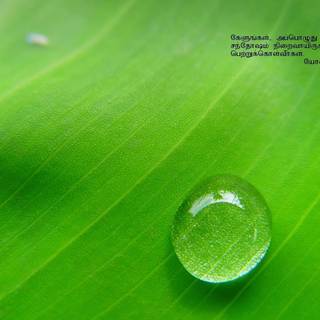 Biblical wallpaper with verses