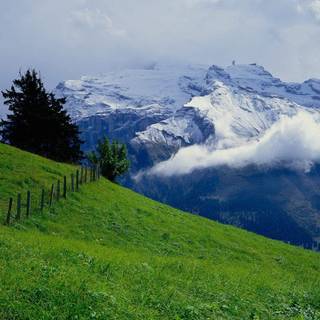 Free summer computer backgrounds