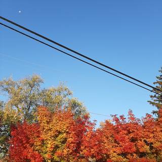 Autumncore wallpaper