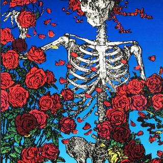 Skeleton rose wallpaper