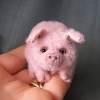 Cute baby pigs wallpaper