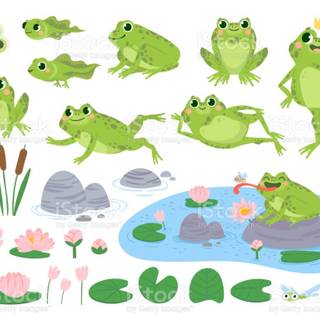 Cute frog drawing wallpaper