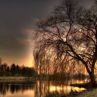 Natural resources wallpaper