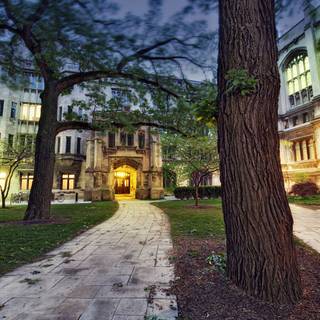 University of Chicago wallpaper