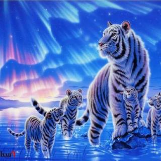 Mychical tigers wallpaper