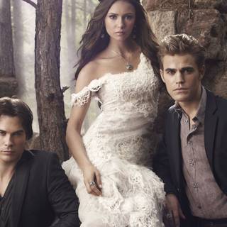 Elena and Damon wallpaper