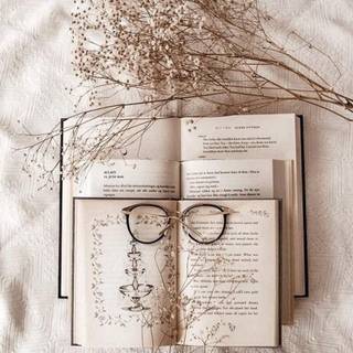 Aesthetic books wallpaper