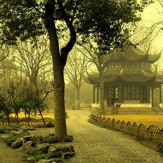 Beautiful scenes wallpaper