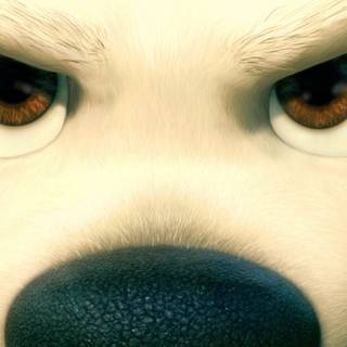 Bolt movie wallpaper