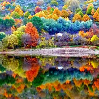 Landscape view colorful autumn wallpaper