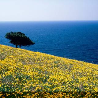 Aegean Sea wallpaper