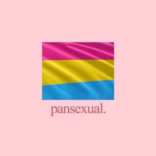 Hidden pansexual wallpaper