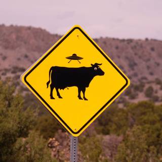 Weird stuff wallpaper