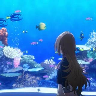 The Aquatope on White Sand wallpaper