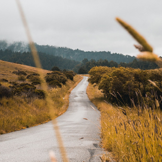 iPhone 11 Pro Max fall HD wallpaper