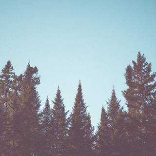 Desktop 4k vintage wallpaper