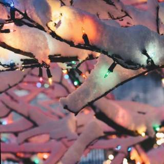 Cozy winter aesthetic wallpaper