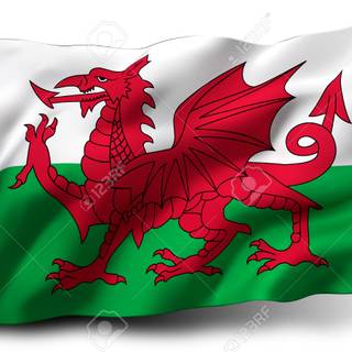 Welsh Dragon wallpaper