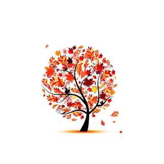 Autumn aesthetic laptop minimal wallpaper