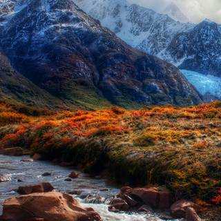 Africa iPhone wallpaper